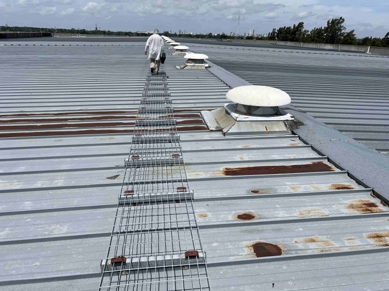 Título de la imagen